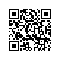 55900002 LWRRISER,BLACK