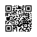 55A-11638-00-00 