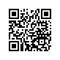 560071381 