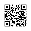 56008-1008 Bag