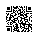 560481803 