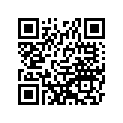560491381 