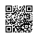 560491382 