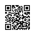 560491384 