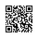 560491503 