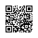 560541333 Mark, Immobilizer