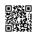 560542433 MARK,STEP STAY,TOP