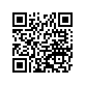 560601117 