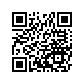 560663787 Pattern, Deck, Rr, Rh