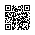 56066S020553 Pattern, Lh, Wht/gld/bl
