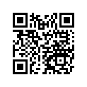 56066S031575 Pattern, Blk/sil/gld/o