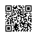 560671466 Pattern