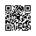 560681168 Pattern