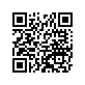 560681169 Pattern