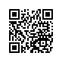 560681170 Pattern