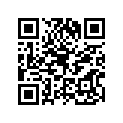 560681171 Pattern