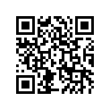 560681182 Pattern