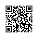 560681183 Pattern