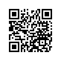 560681184 Pattern