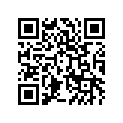 560681185 Pattern