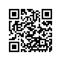56069-2397 パタ-ン，ホイール，オレンジ，4X1353