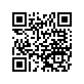 56069-Y026 PATTERN,300