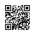 560694257 Pattern, Deck, Rr, Rh, Up