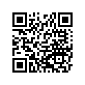 560697540 Pattern, Deck, Rr, Rh, Lw