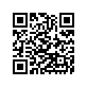 56070-3844 LABEL-WARNING,IMPORTANT SAFETY