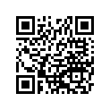 56075-0222 パタ-ン,サイド バツグ,RH