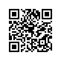 560751098 PATTERN,WHEEL,ORANGE,4X1353