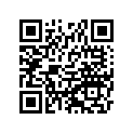 560754136 PATTERN,SIDE BAG,LH,RR