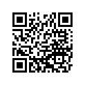 56076-0353 PATTERN,CNT BAG,LH