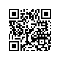 5611-851 DECAL,CARB DIAGNOSTIC CODES