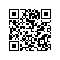 56110-41311 
