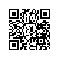56110-45131 