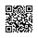 56533015000 Stop Disk 20, 2 X 35 X 1