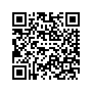 57000509EJA FRNG,FR,SKIRT,CHRDSTL