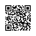 57003-1085-I4 BAG-ASSY,RH,GRAY+SILVER