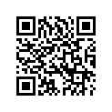 5706109 WSASSY,DETACH,FLSTCD