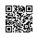 57510-87811 THRUSTWASHERS