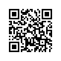 576-11162-00-00 ABSORBER 2