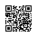 58029-5004-6W プレ-ト(ナンバ)，グリ-ン