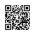 58033031000 STOP DISK 22,2 X 30 X 1,5
