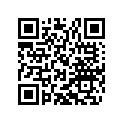 58038007755 STOP DISK 8,1 X 15 X 0,5
