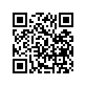 58105-87D11 BUSHINGSETDTV