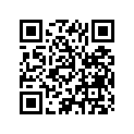 5814812 PAD-RUBBER 10X40X3