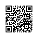 583-11610-31-00 