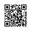 583-11651-00-00 Rod, Connecting