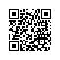 58301402300 Fork Leg R/s Wp 